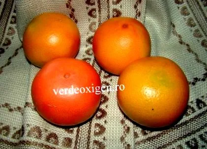 grapefruitot vörös