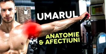 fájdalom testépítés