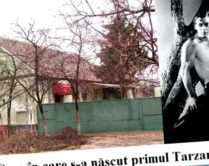 fiát kizárólag