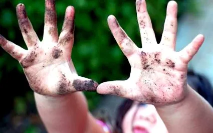 állati parazita betegség