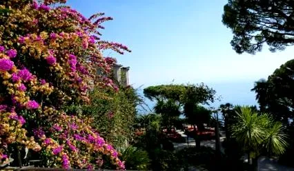 amalfi-parton amalfi-parton