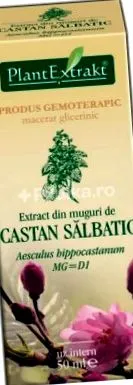 gaštanov