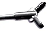 idegentestek