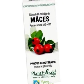 mladite maces
