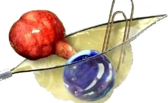 idegen testek