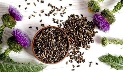 kivonat Phytosome® technológia