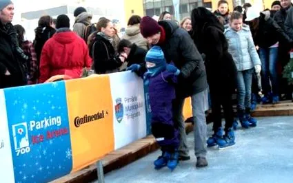 забавува мразот