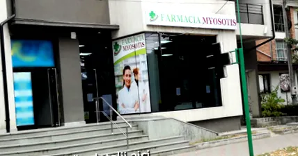 миосотис