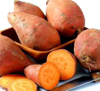 élelmi könnyű