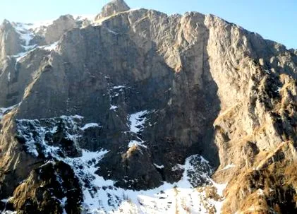 közvetlen