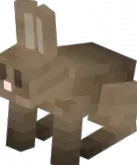 заек заек