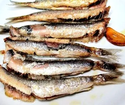 масло аншоа
