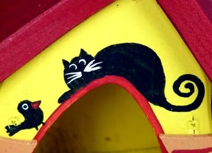 котки котки