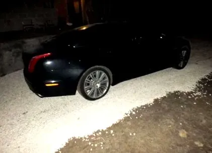 бяха jaguars