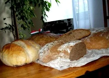 музей харчування
