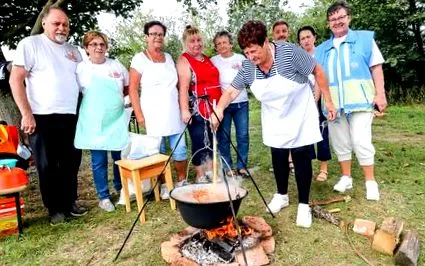 care fost picnicul