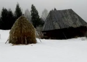 utánkövetés