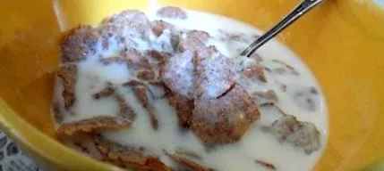 брендот flakes