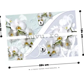 orchidea