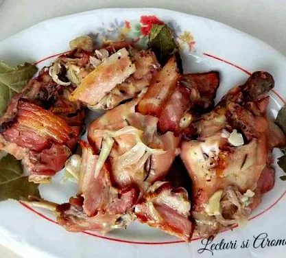 borral nyúl