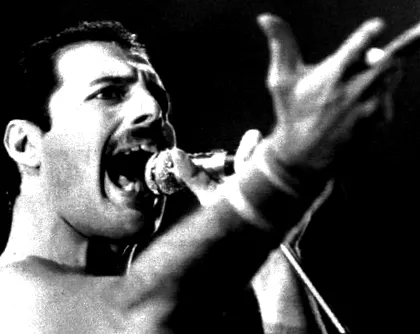 freddie