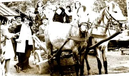 fotó costica