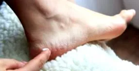 тековни корисниците