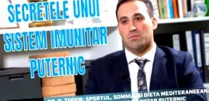 gyümölcs