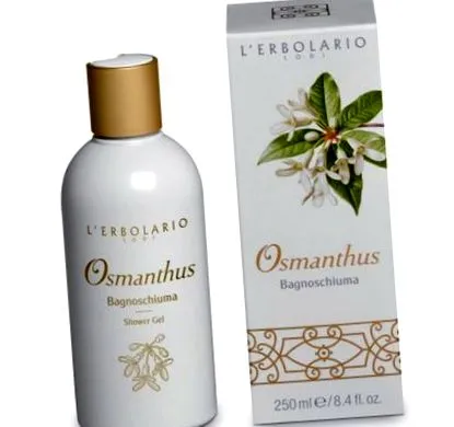 osmanthus