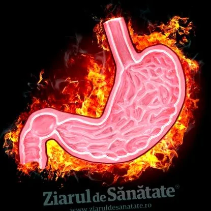 весник