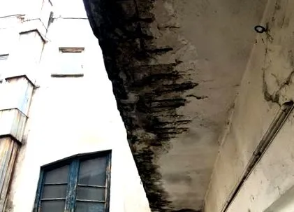 фотогалерея фотогалерея