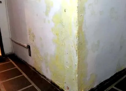 кварталу свідчення