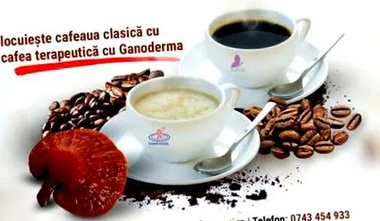 fiatalság
