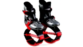 kangoo архіві