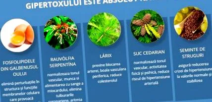 gipertox аптеките