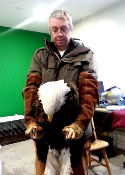 meggyógyították