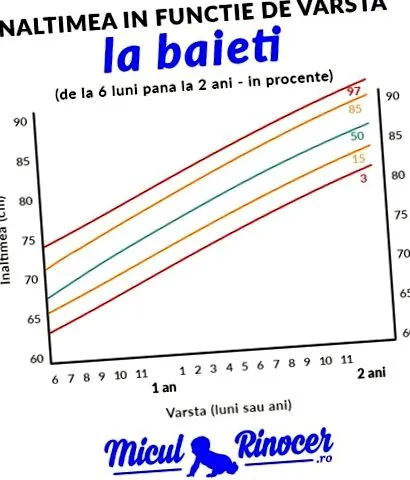 бебиња