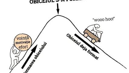 szokások felépítése