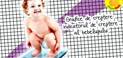 бебето