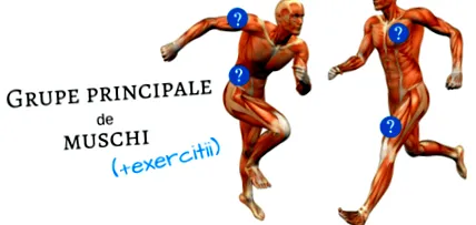izomcsoportok