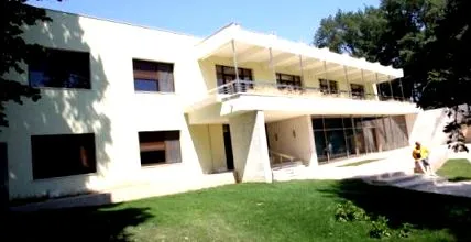 vláda