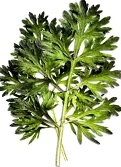 herbagetica