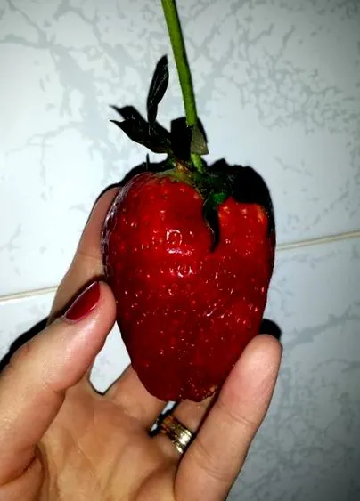 обична вода