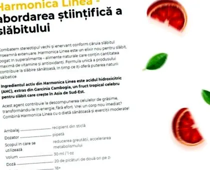 linea linea