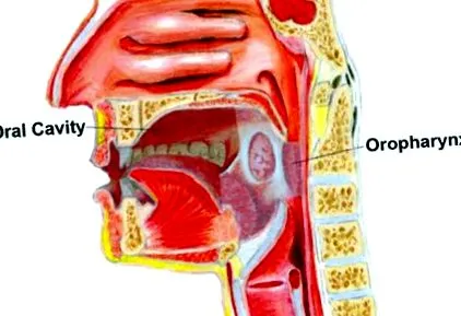 uterin
