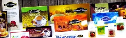 ganoderma ganoderma