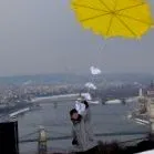 општествениот
