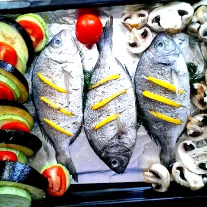 ирина фаргуша