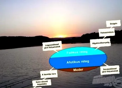 абіотичних вплив
