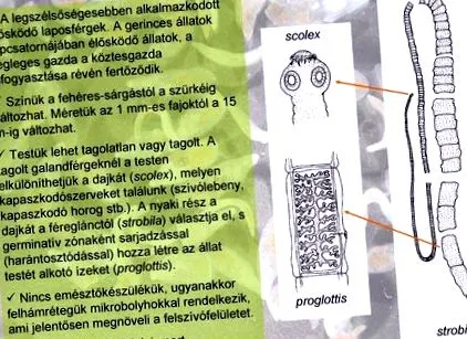 отдел дискова